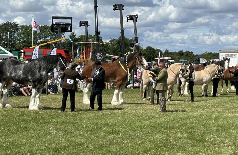 Photo of horses at the Heckington Show