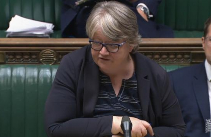 Therese Coffey in the House of Commons