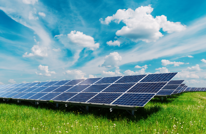 Solar panels in field