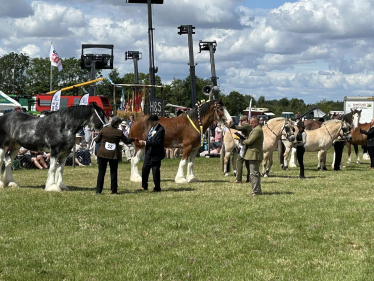 Photo of horses at the Heckington Show