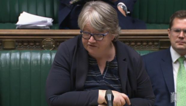 Therese Coffey in the House of Commons