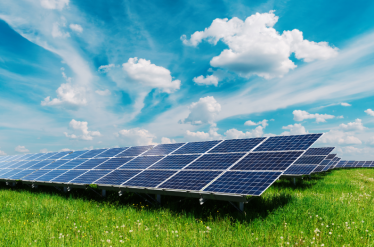 Solar panels in field